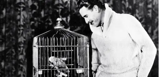 american actor, john gilbert, jack gilbert, silent films, movie star, pet bird, parrot, fashion, menswear, sweater, 1929, 1920s