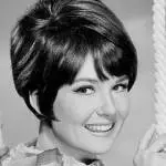 shelley fabares, 1960s, american singer, actress, elvis presley costar, movies, clambake, spinout, tv shows, the donna reed show, the brian keith show, coach, one day at a time